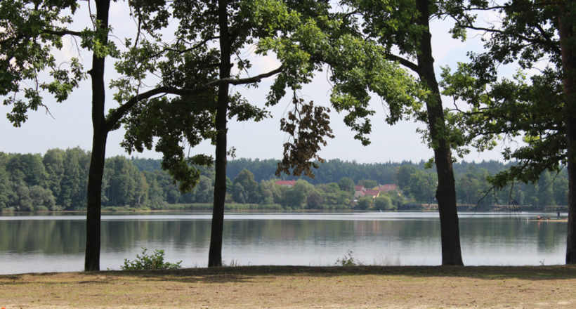 Pohled na rybník z kempu Hejtman